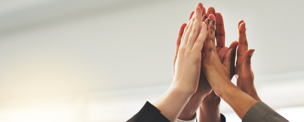 projekt zakończony sukcesem